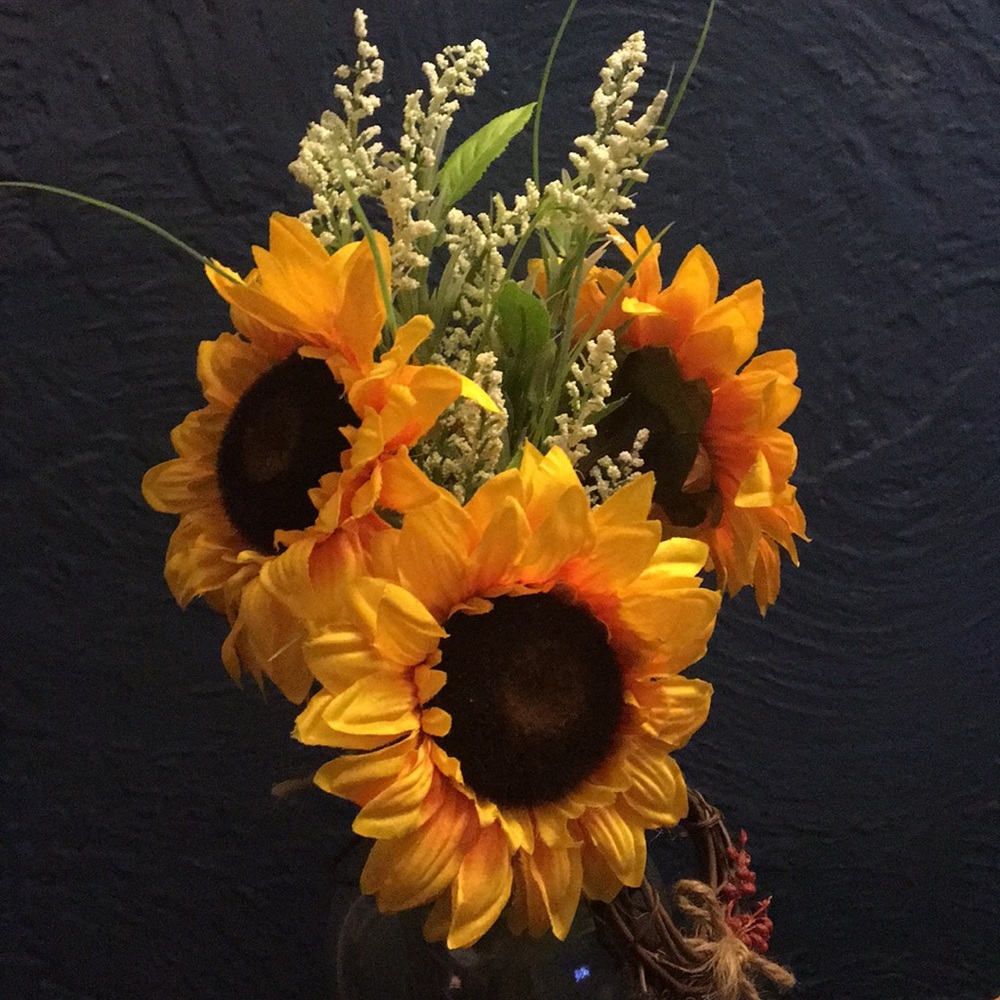 Meet your Posher, Dm